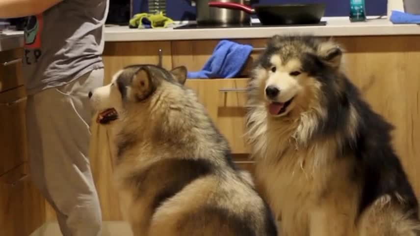 waiting for the time to eat.