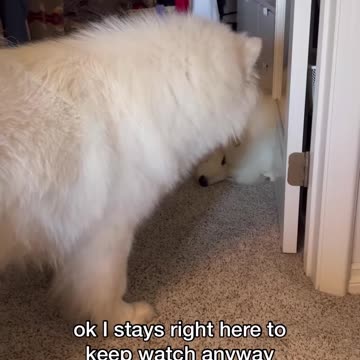 A dog’s best friend 🥺