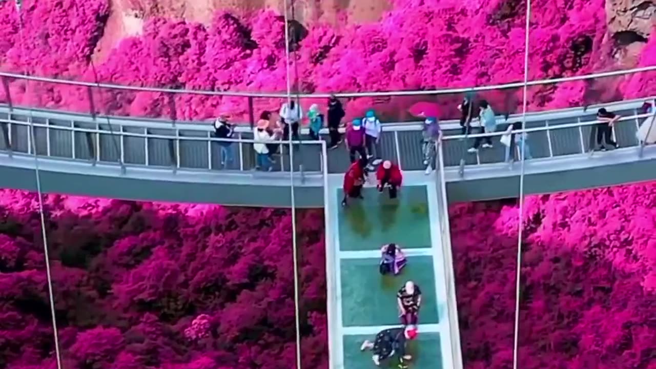 Amazing tourist destination || #shorts #travel #tour #destination #bestplace