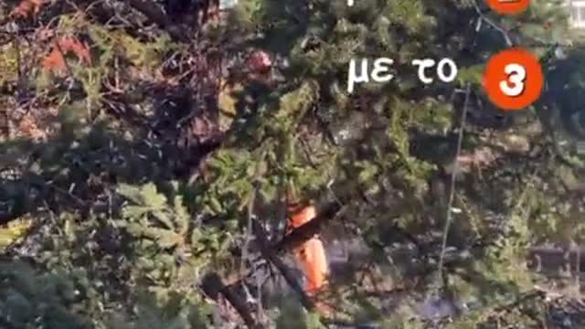 ΜΠΑΚΟΓΙΑΝΝΗΣ ΚΡΕΜΑΣΕ ΤΗΝ ΜΠΑΛΑ