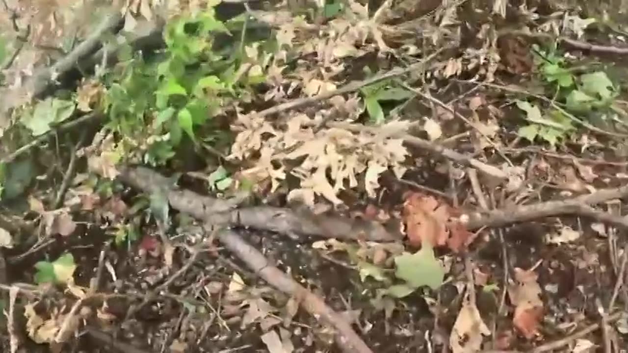 Detroit, we've been hit