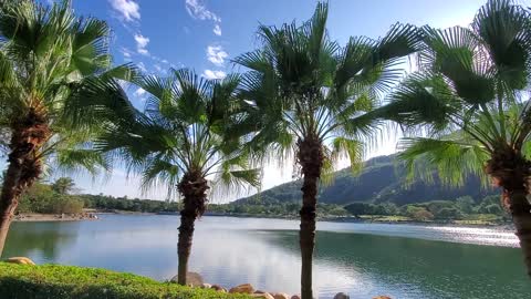 Sunny lake time