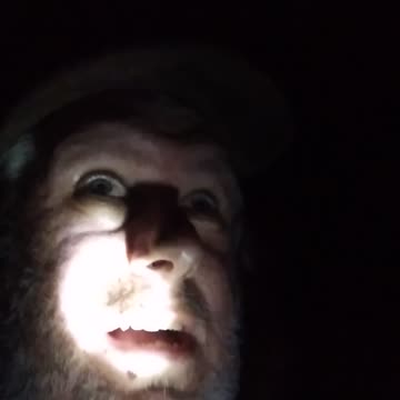 I hit a cow with my car going 100 km