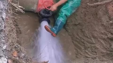 Crc vídeos curiosos