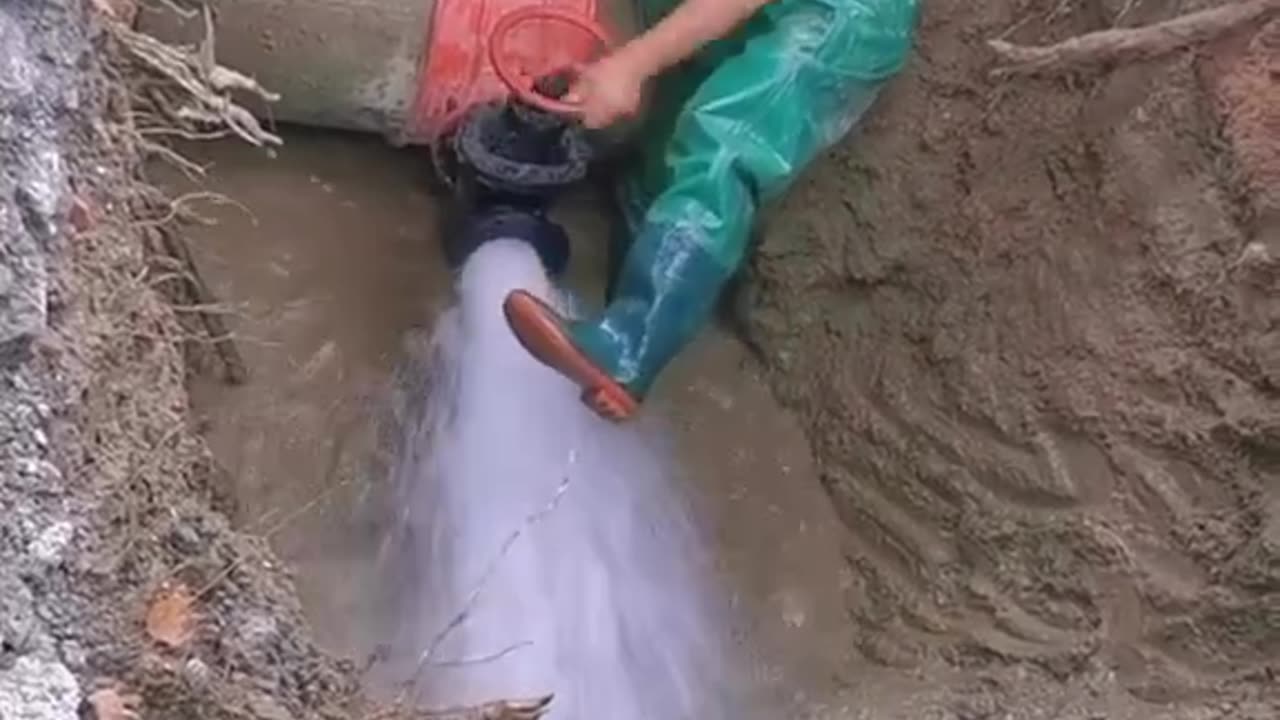 Crc vídeos curiosos