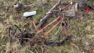 Abandoned Bike Found in Woods