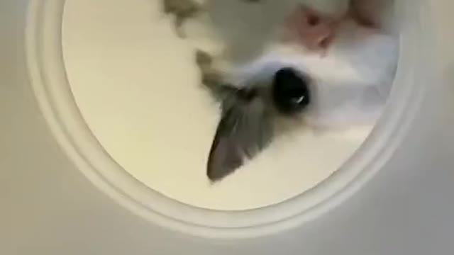 Hey anybody home