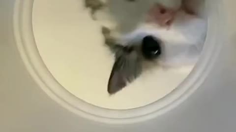 Hey anybody home