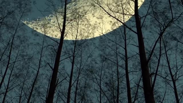 Heart touching Moon