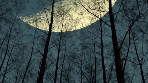 Heart touching Moon