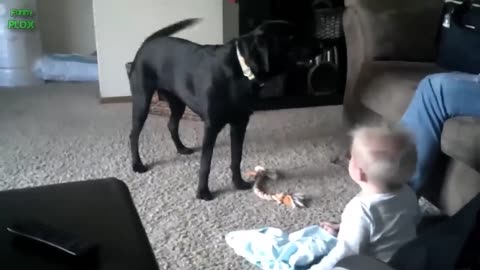 Funny baby planing with dog