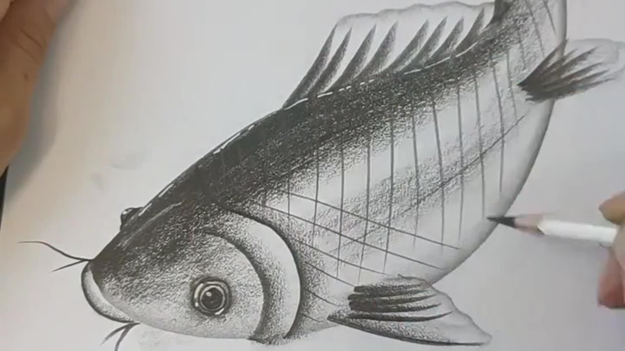 Pencil Art