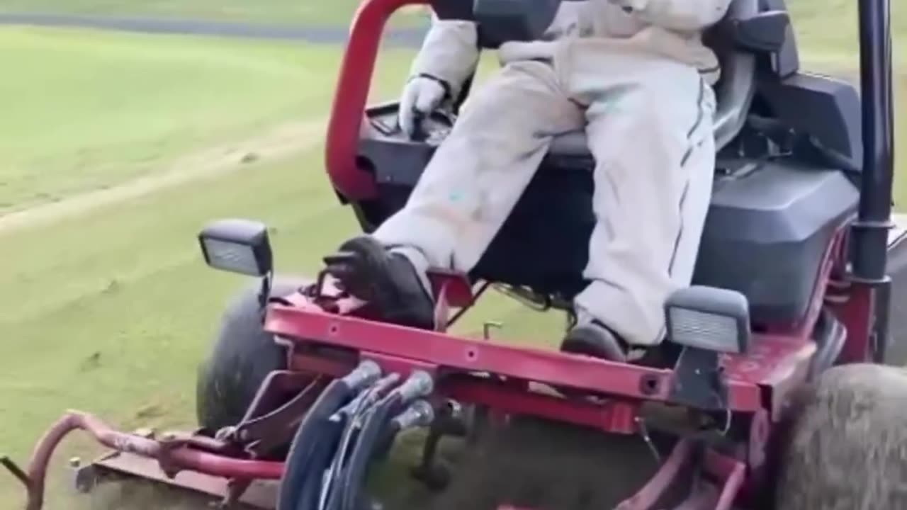 CRC vídeos curiosos