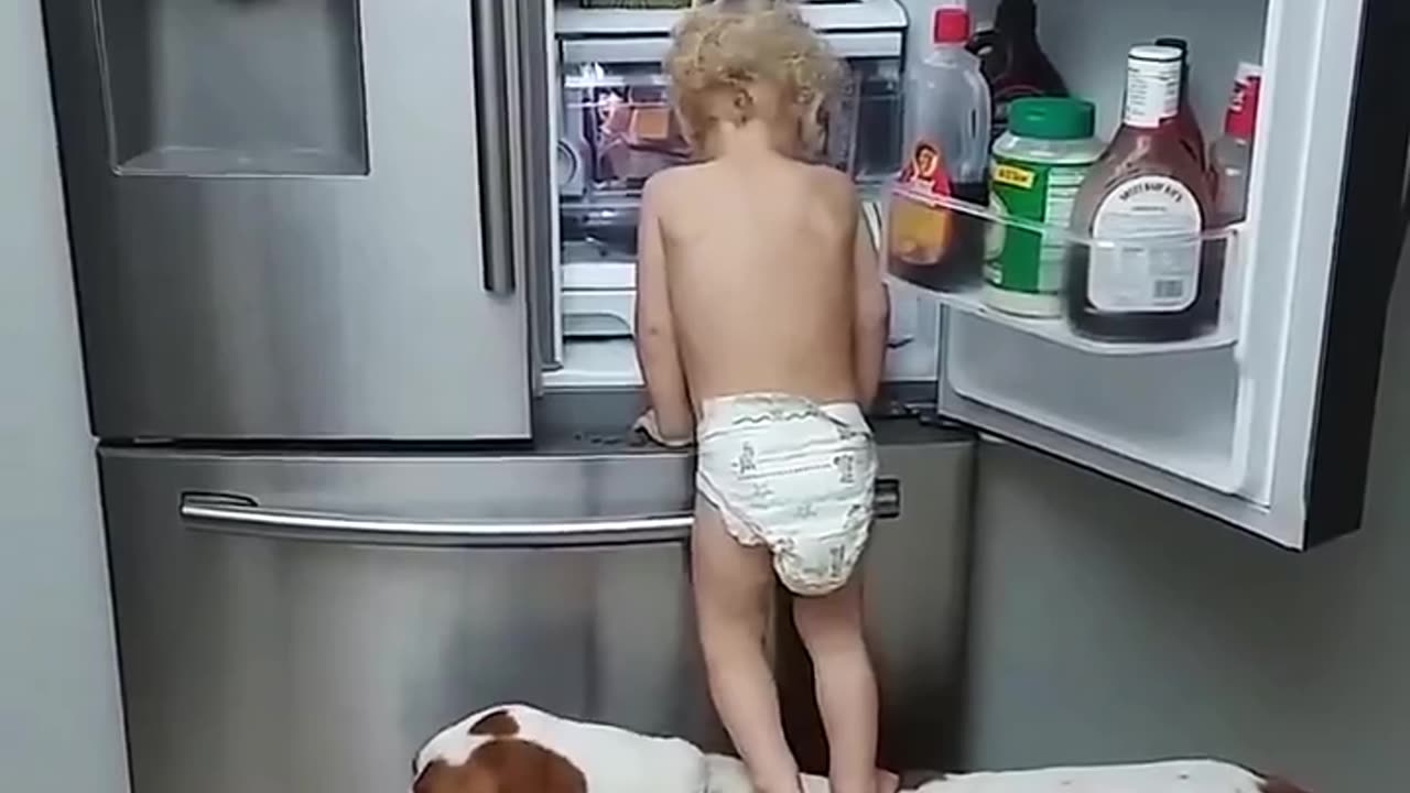 Dog and little baby play.