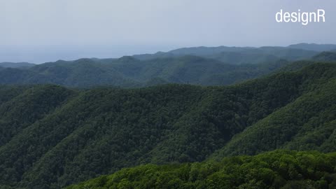 Amazon Rainforest আমাজন অরণ্য