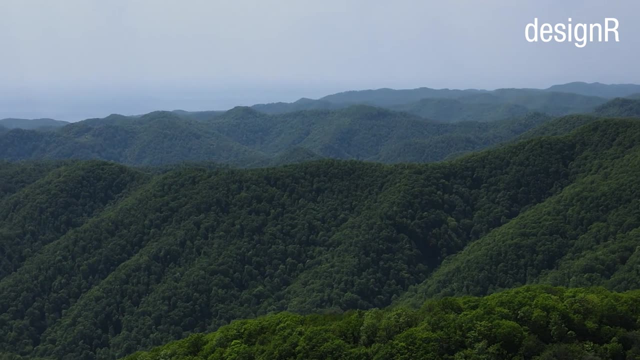 Amazon Rainforest আমাজন অরণ্য