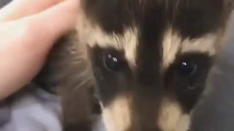 Sound on! so cute ❤️