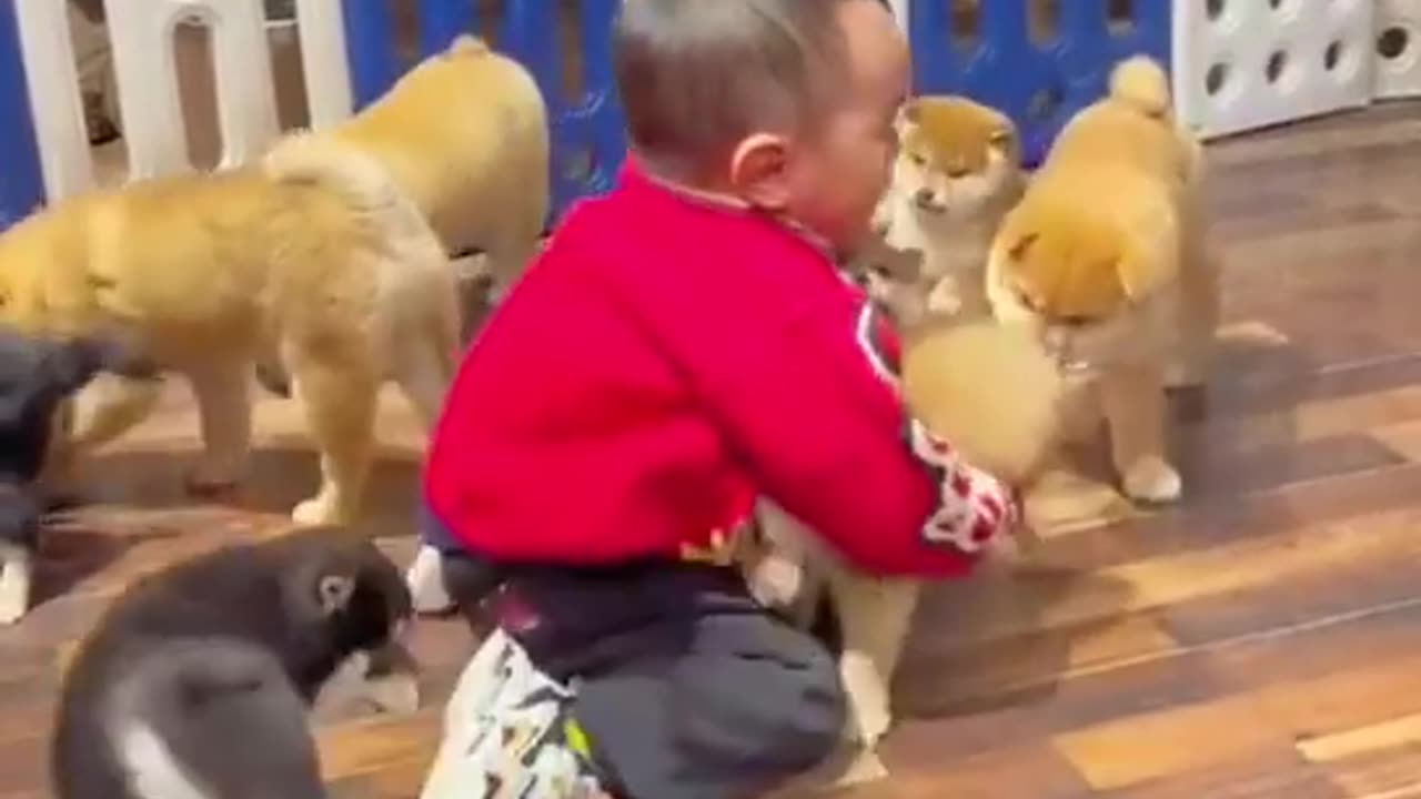 Le monde des animaux