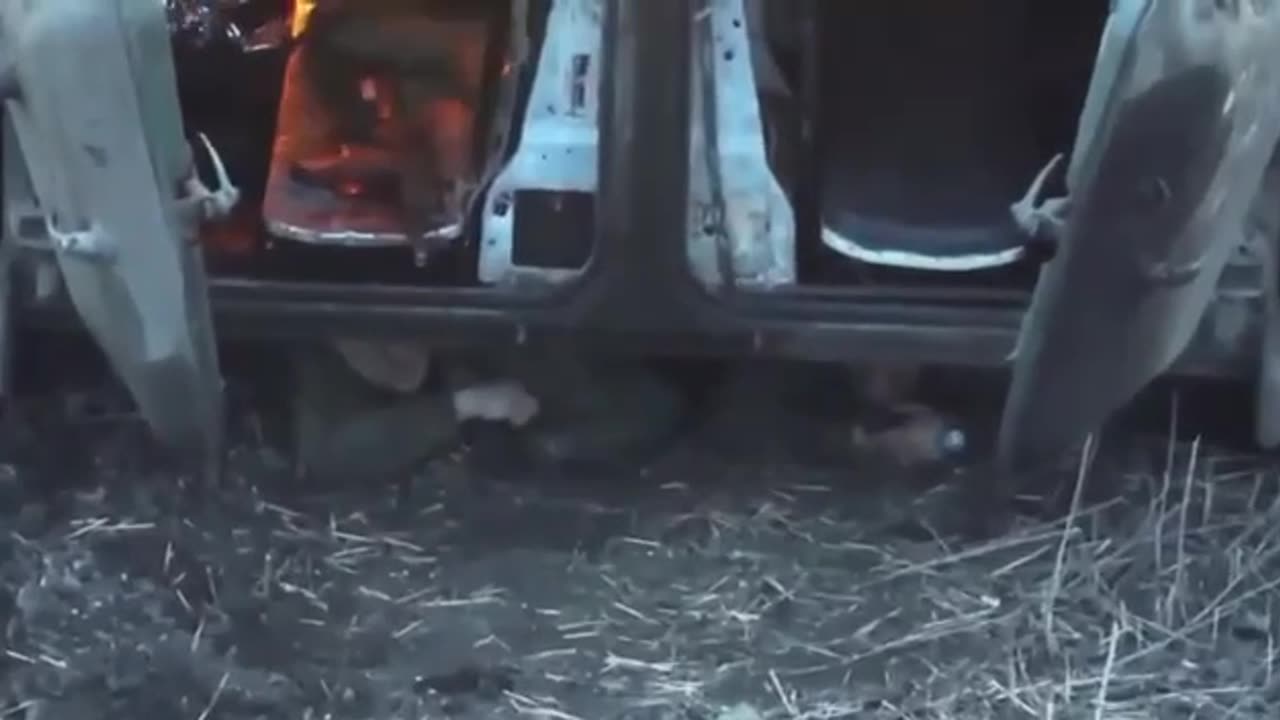 The little ones hid, they are afraid😁