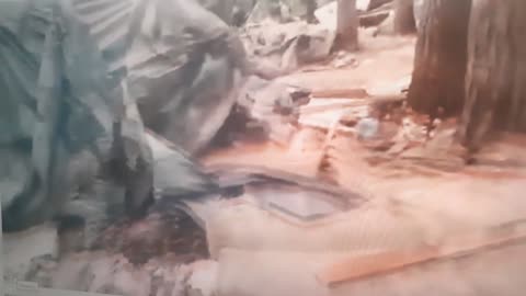 Ukraine Fascism Against Roma Community