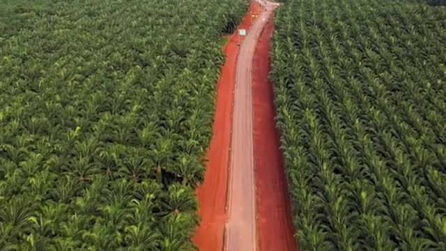 Amazing landscape of Krabi, Thailand