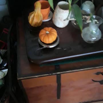 The hidden pumpkins