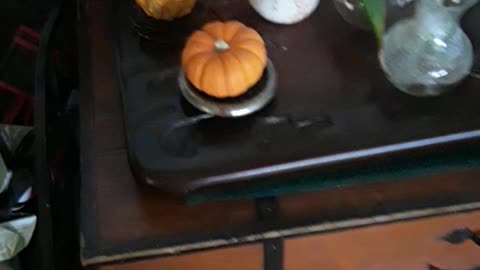 The hidden pumpkins