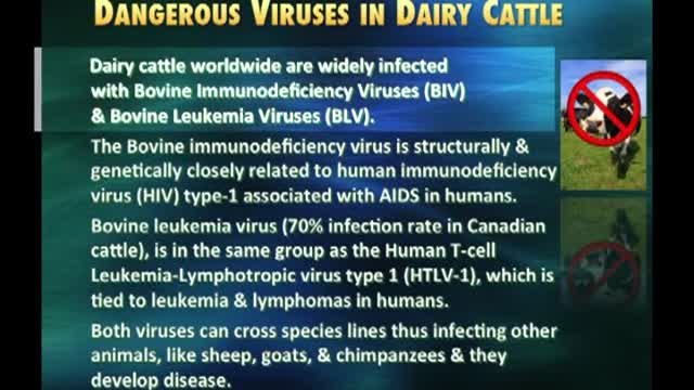 Meat, Milk, and Human Diseases / Life Science Seminars International - Raymond Obomsawin