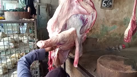 Beef shop boy working