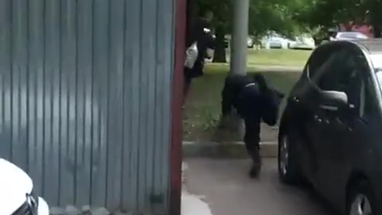 Cop fail-balance piggy. pig bangs his head trying to nab someone