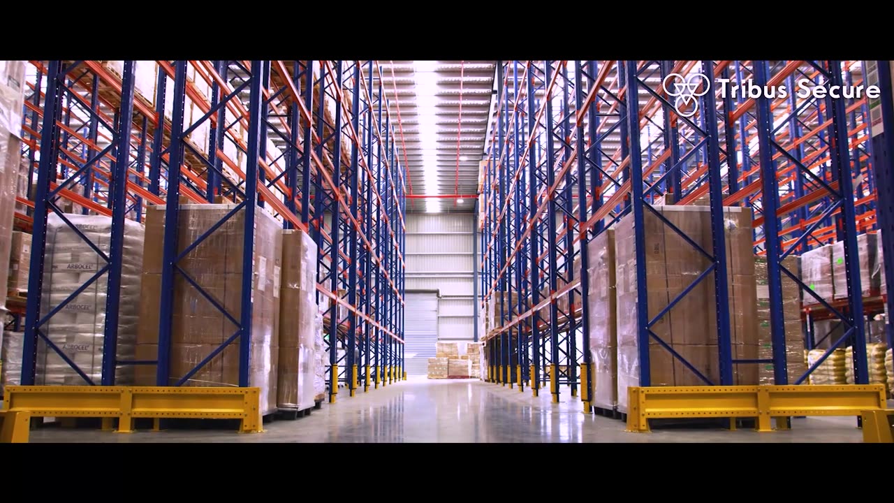 Tribus Secure: Your Trusted Transaction Partner in Africa