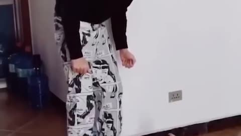 Cat funny video