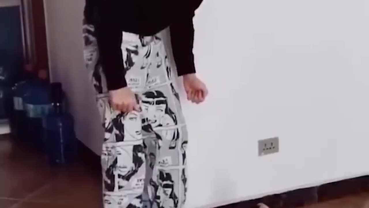 Cat funny video