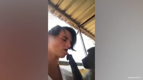 Do animals do stuff for fun?