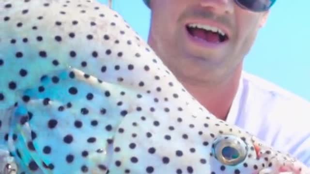 bug holy im so stoked....full video search Buried In Blue on YouTube ✌️