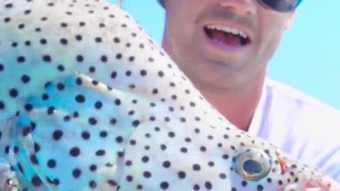 bug holy im so stoked....full video search Buried In Blue on YouTube ✌️