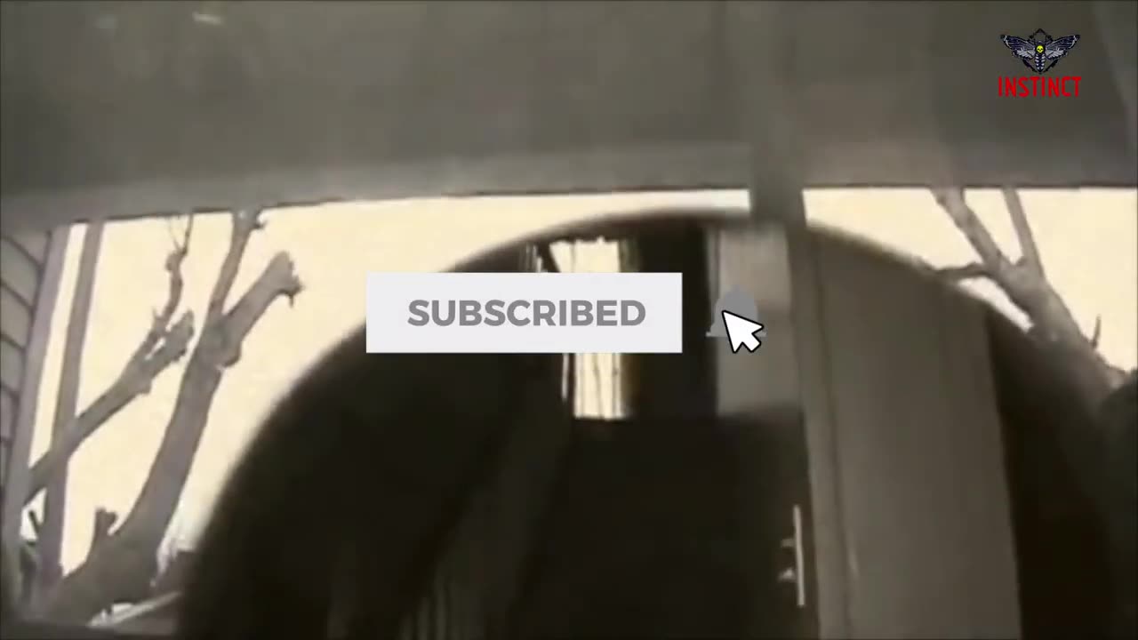 A real scary footage