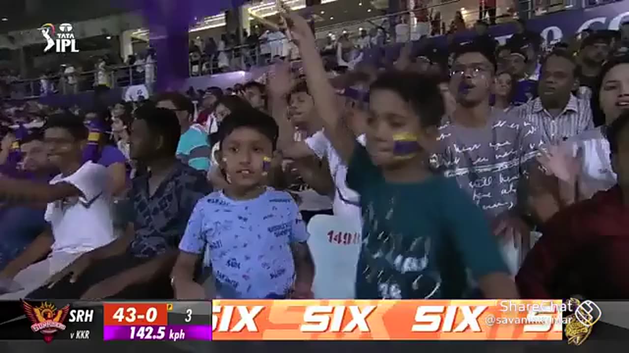 Video sport cricket