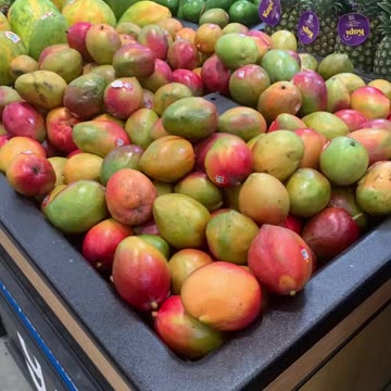 How To Pick Ripe Mangoes