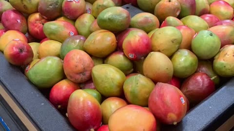 How To Pick Ripe Mangoes