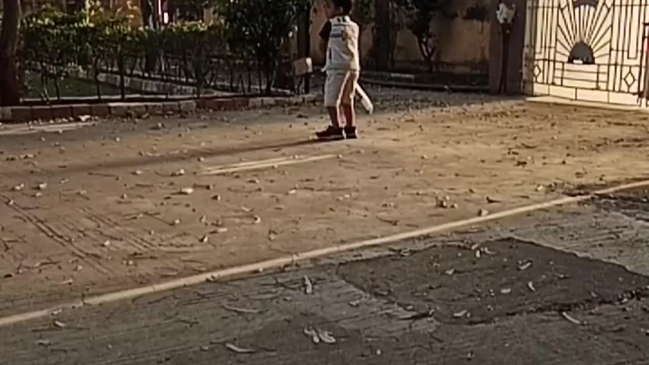 Little boy playing cricket