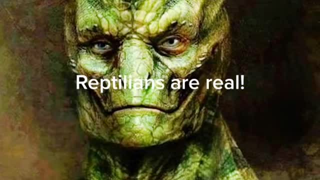 The Reptilian Agenda