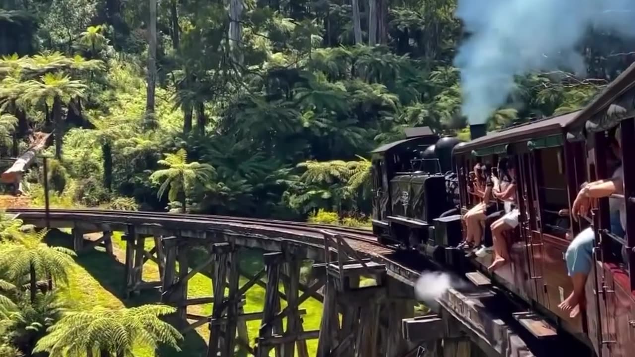 Puffing Billy Scenic Railway from Belgrave to Lakeside Return 🚂