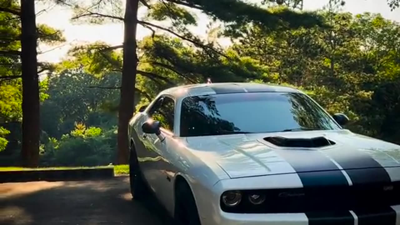 Modified cars