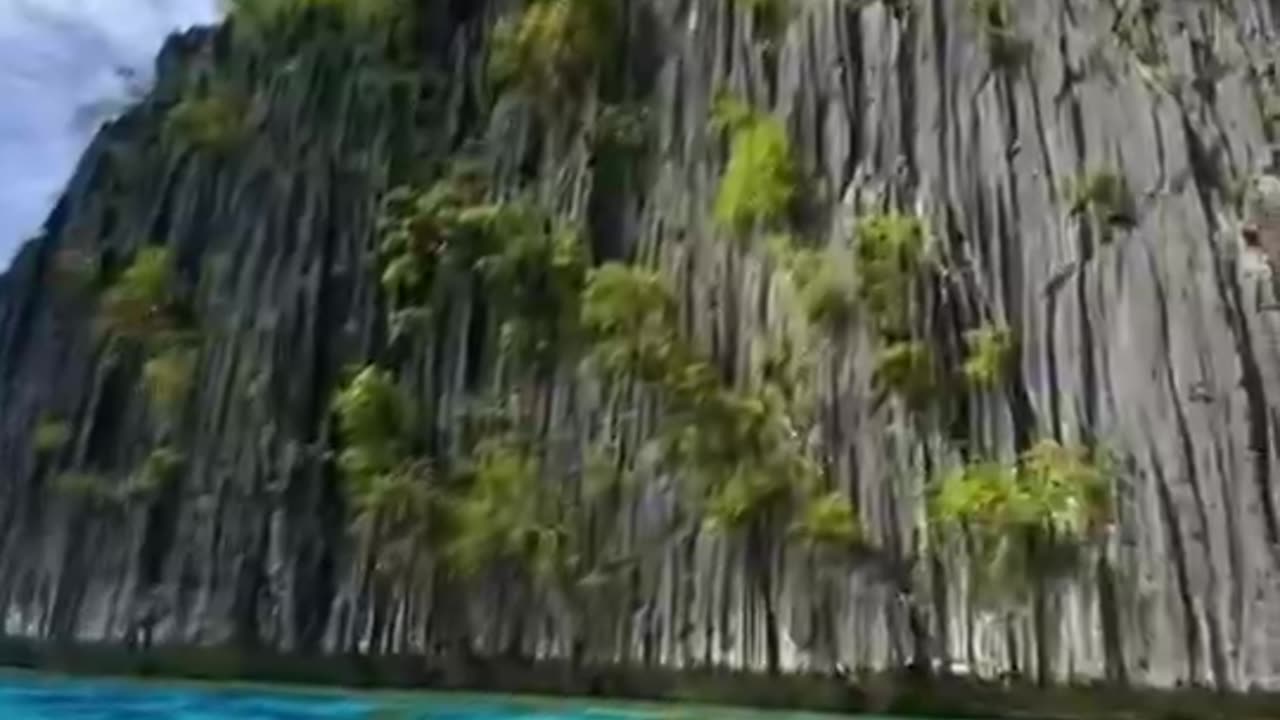 swimming full whole Earth