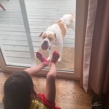 Bruce the Window Washer!