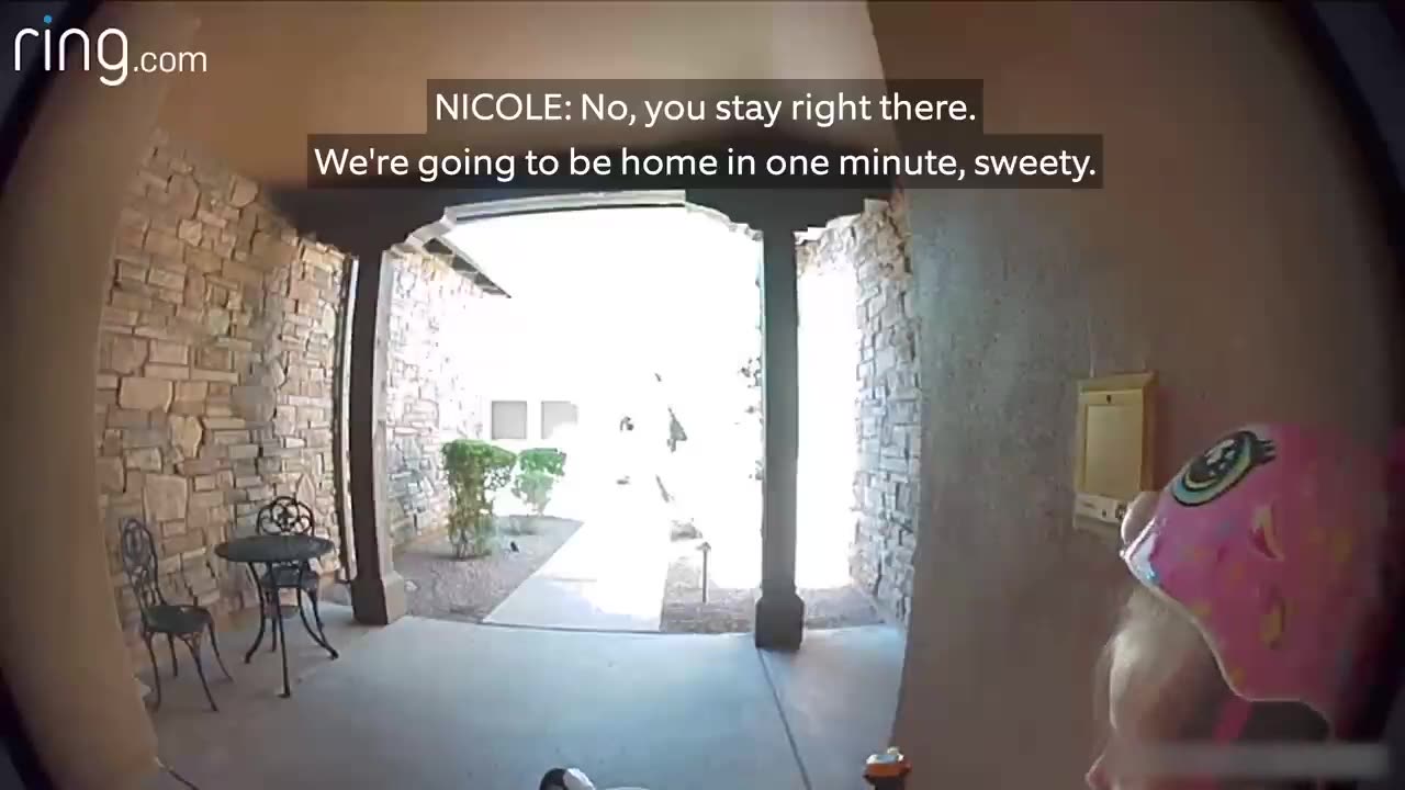 Taylor Talks to Her Neighbor On Ring Video Doorbell After Running Away From a Bobcat | RingTV