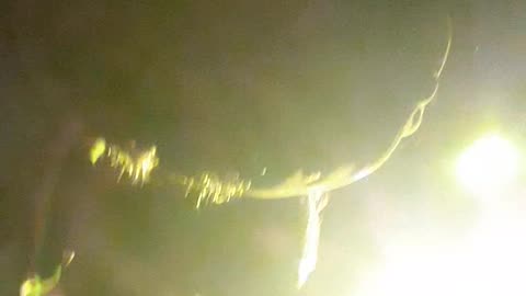 Funny dance