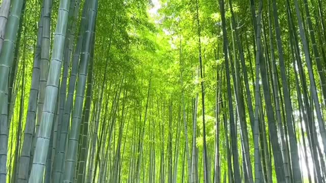 So beautiful 🤩 #earth #feel #adventure #travel #fyp #foryou