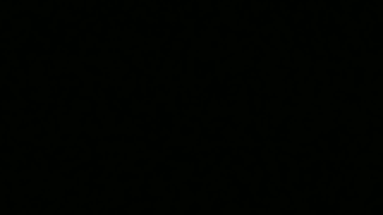 Some Truth Bombs About Clovazz & the Puppy Mill